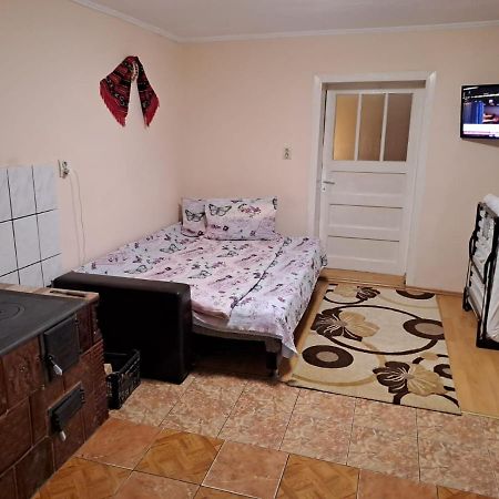 Villa Casa Argentina Cîrţişoara Esterno foto