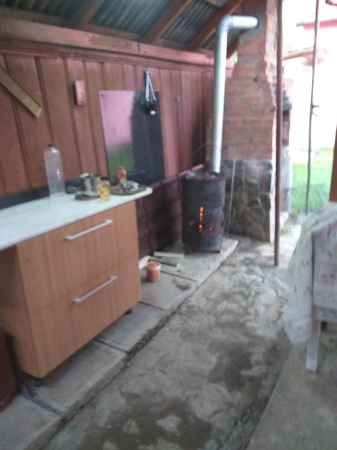 Villa Casa Argentina Cîrţişoara Esterno foto