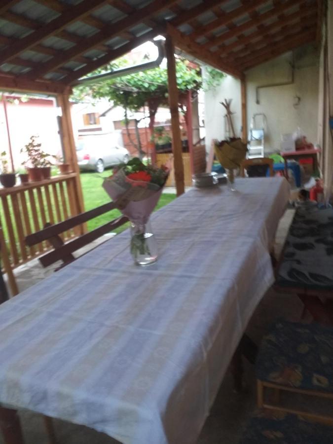 Villa Casa Argentina Cîrţişoara Esterno foto