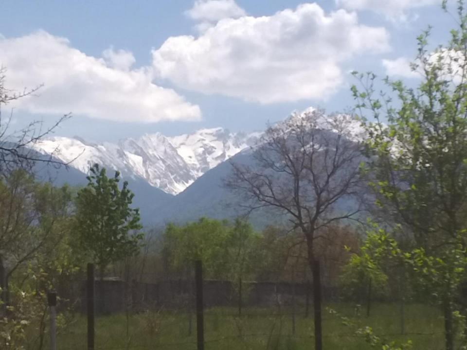 Villa Casa Argentina Cîrţişoara Esterno foto