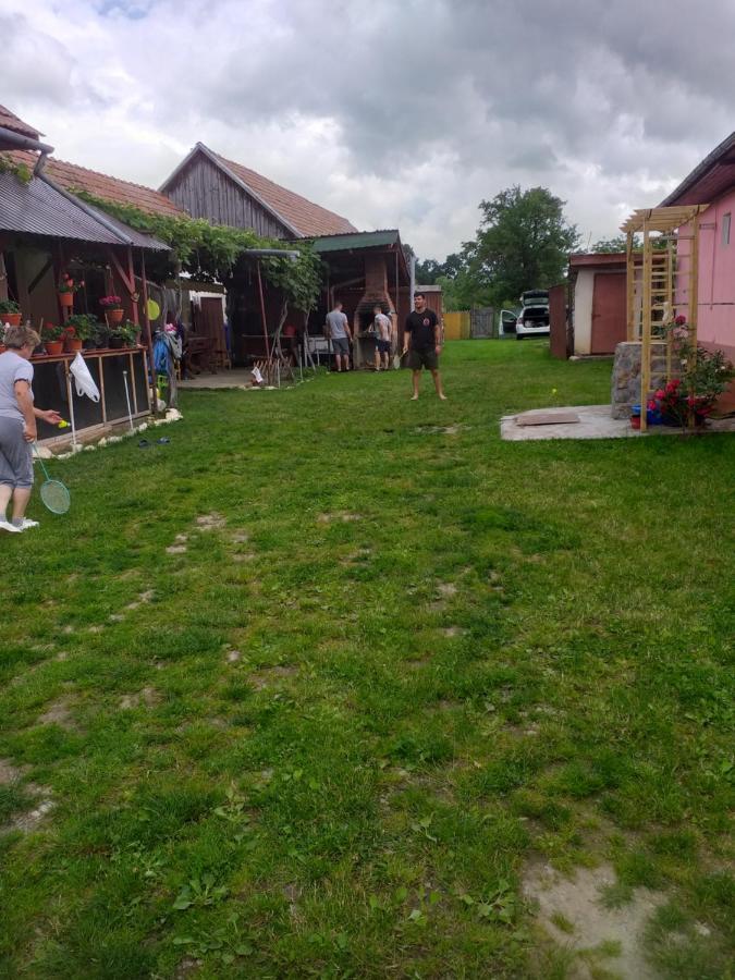 Villa Casa Argentina Cîrţişoara Esterno foto