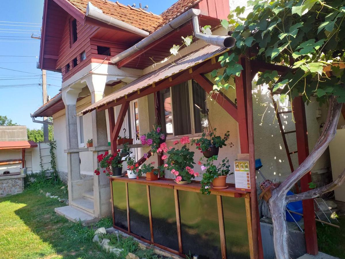 Villa Casa Argentina Cîrţişoara Esterno foto