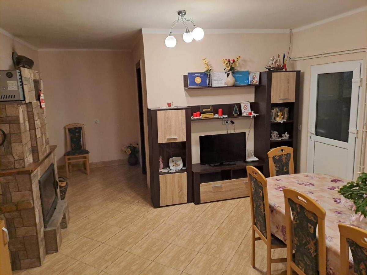 Villa Casa Argentina Cîrţişoara Esterno foto