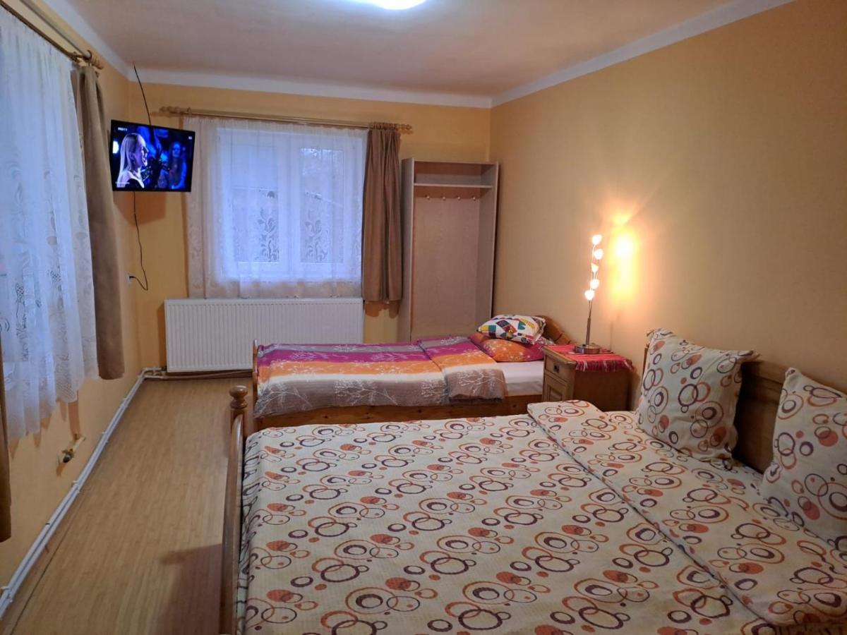 Villa Casa Argentina Cîrţişoara Esterno foto
