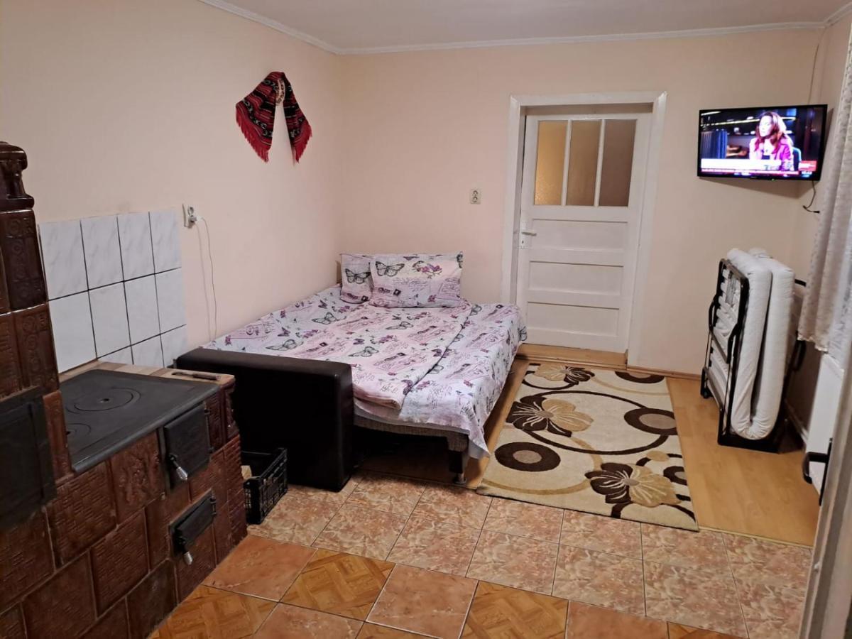 Villa Casa Argentina Cîrţişoara Esterno foto