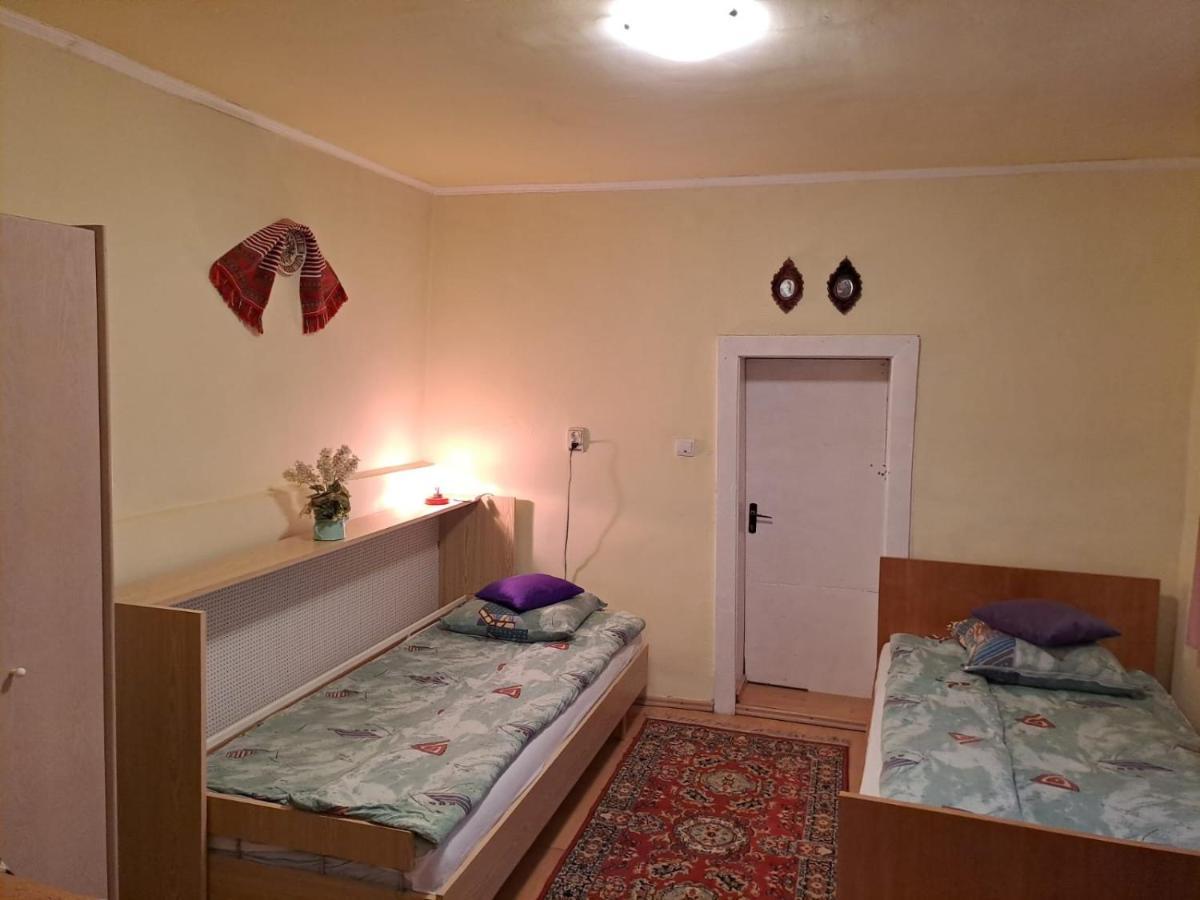 Villa Casa Argentina Cîrţişoara Esterno foto