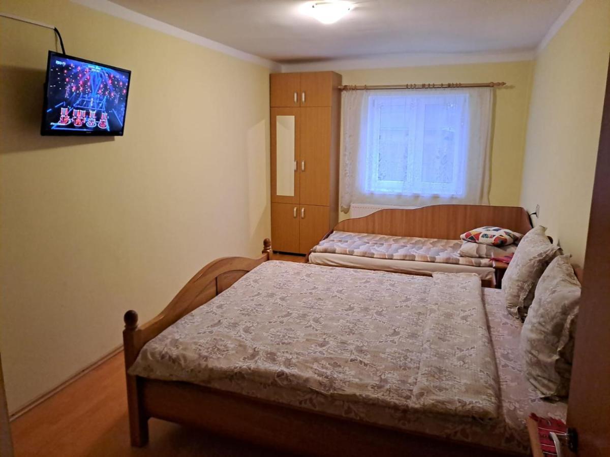 Villa Casa Argentina Cîrţişoara Esterno foto