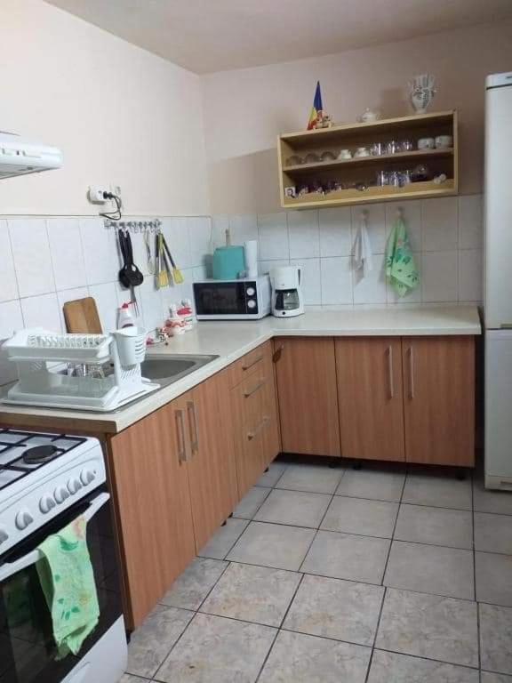 Villa Casa Argentina Cîrţişoara Esterno foto