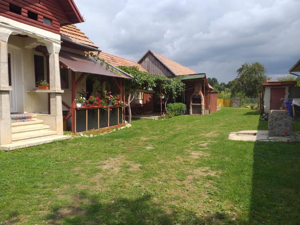 Villa Casa Argentina Cîrţişoara Esterno foto